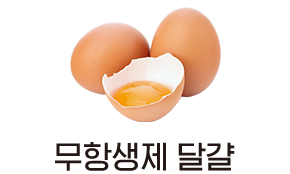 무항생제 달걀
